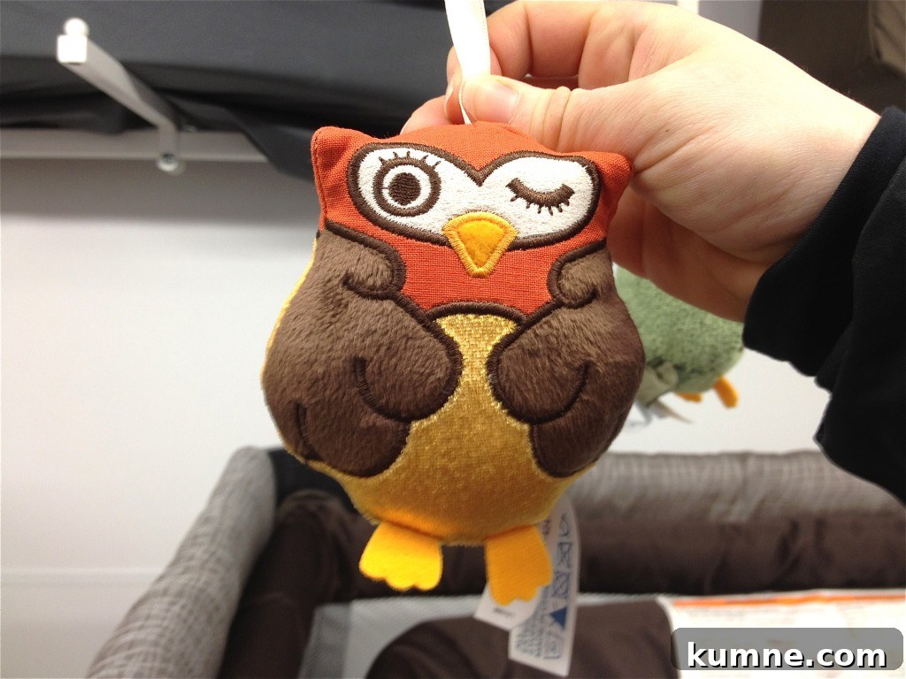 Owl color ideas 2