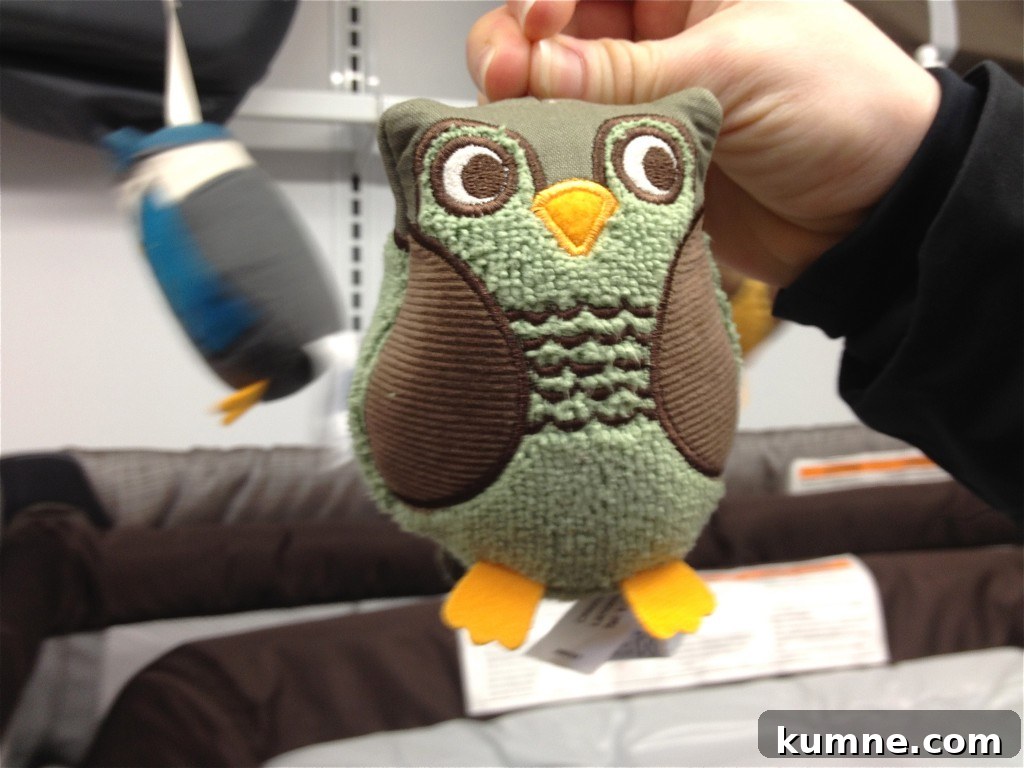 Owl color ideas 3