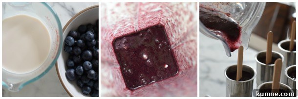 blueberry puree