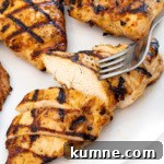 Thumbnail of grilled chicken