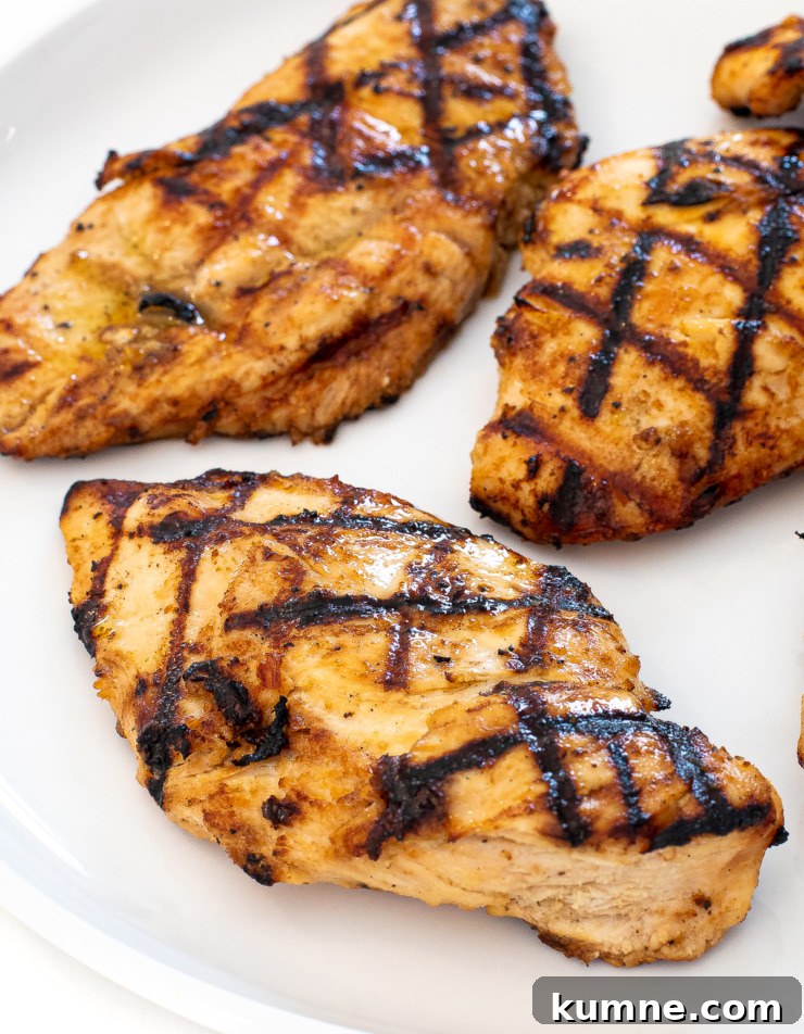 Plated grilled chicken with garnish