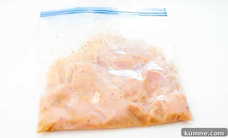 Marinated chicken ready to grill