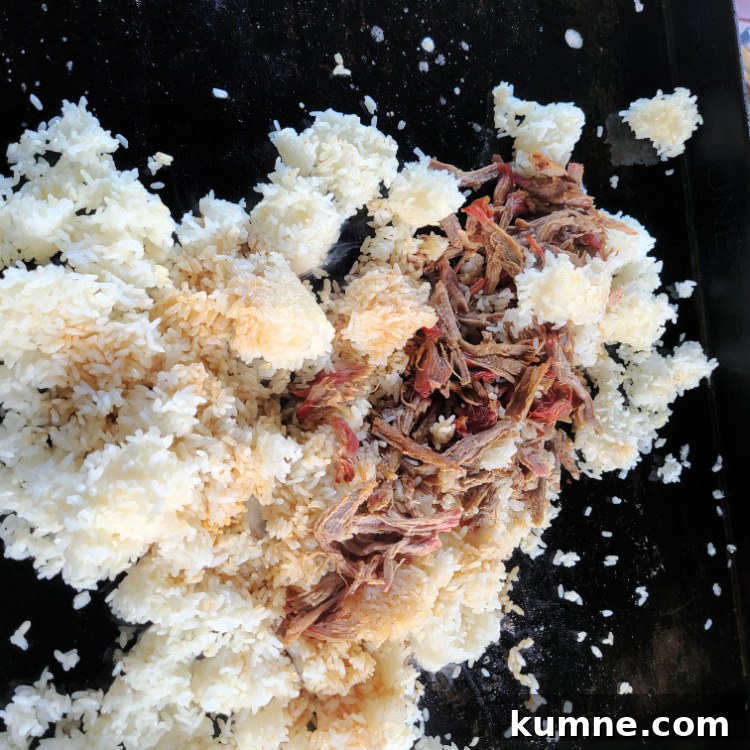Shredded Pork with white rice on blackstone griddle