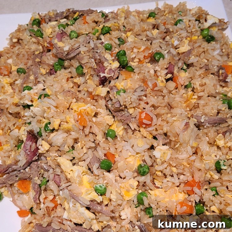 Shredded Pork Fried Rice cooked served on white plate