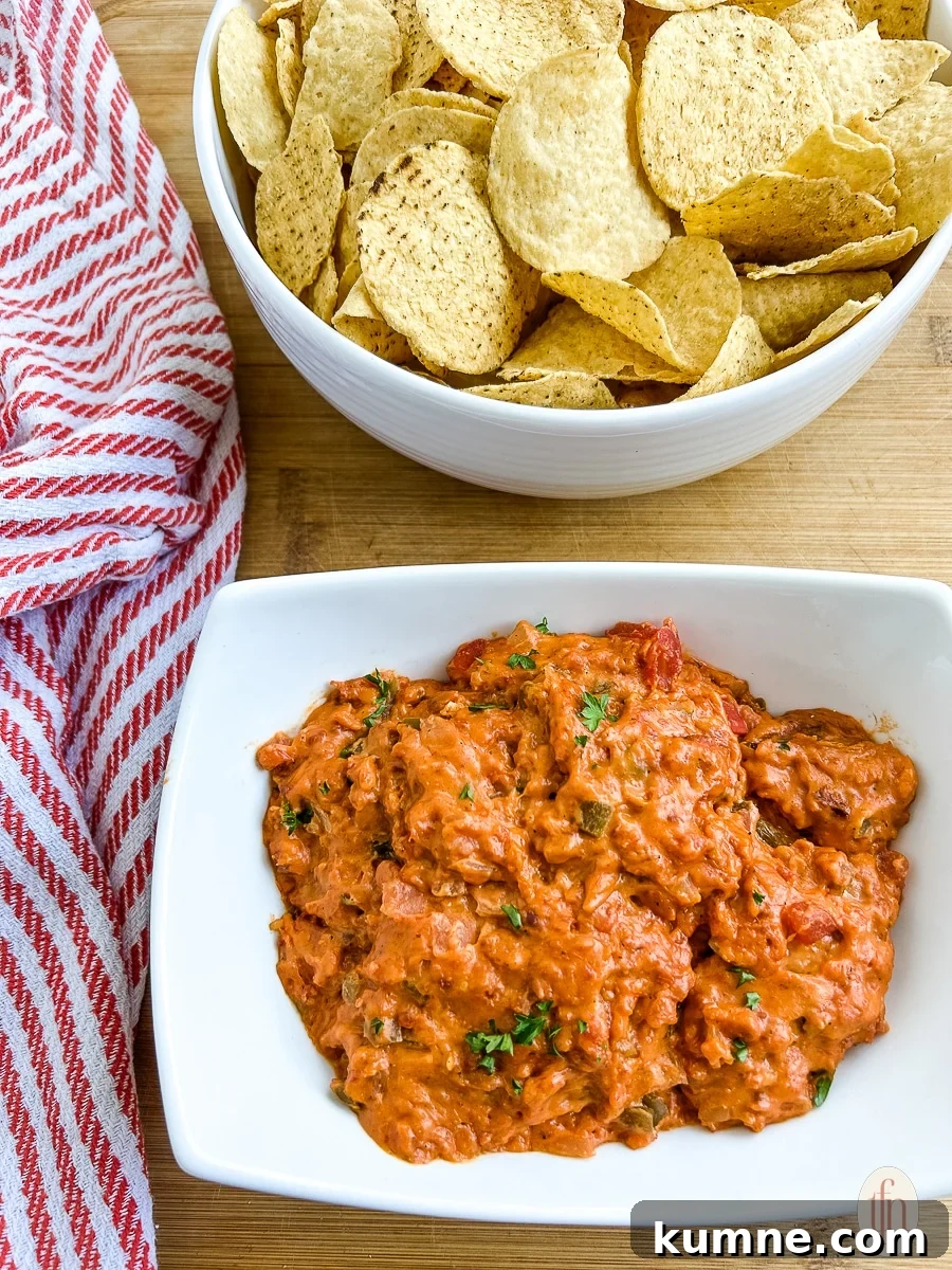 A bowl of smoked queso and a bowl of chips.