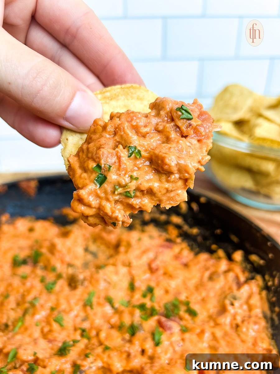 Chip covered in smoked queso dip, shown close up.