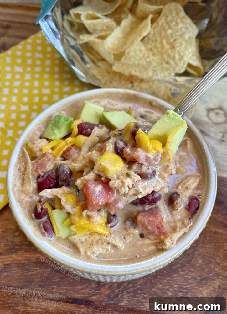 Cheap and easy weeknight meal! Slow Cooker Creamy Chicken Chili -- Made with simple and cheap ingredients even your picky eaters will love.