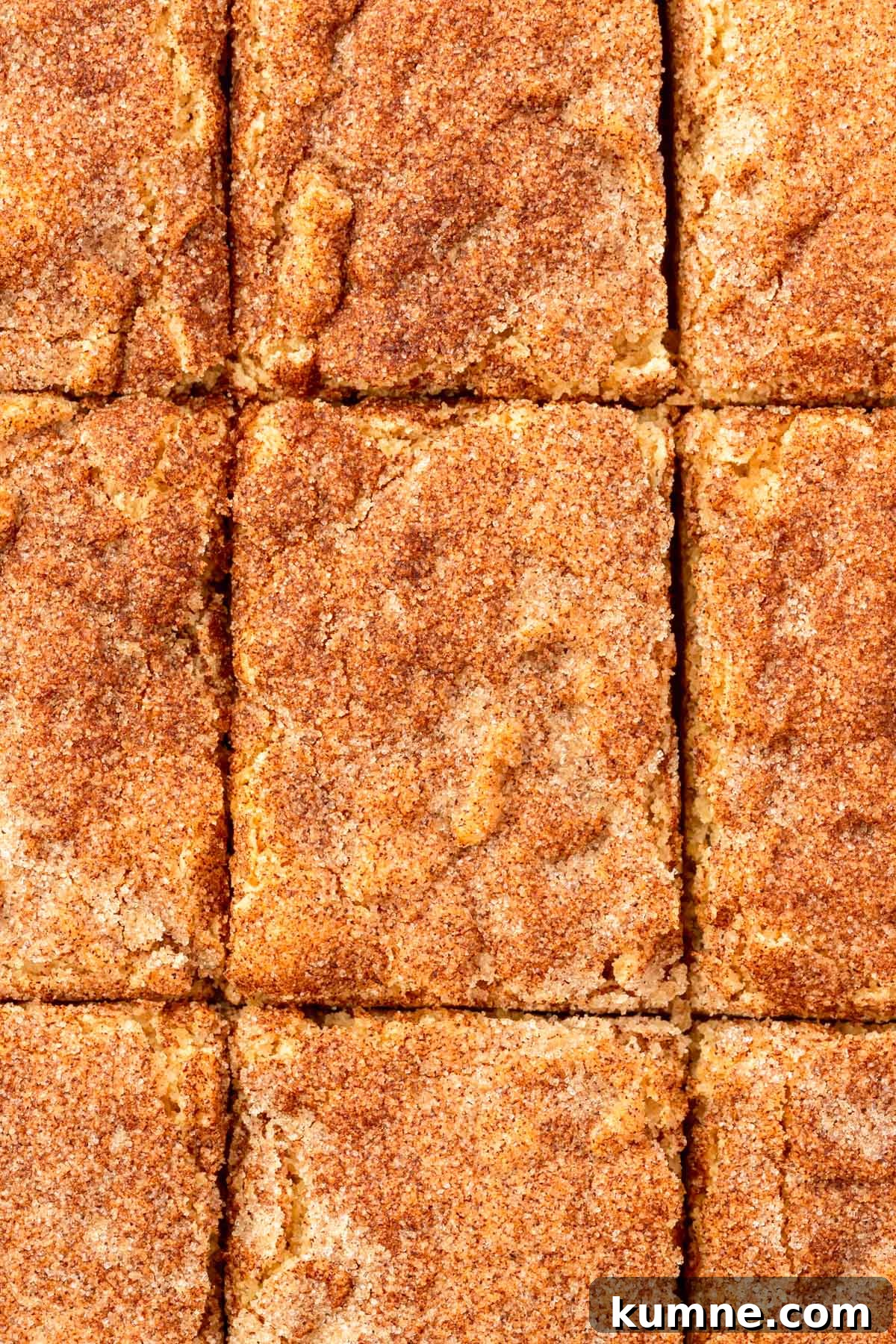 A close up of snickerdoodle bars that have been sliced into 9 equal pieces.
