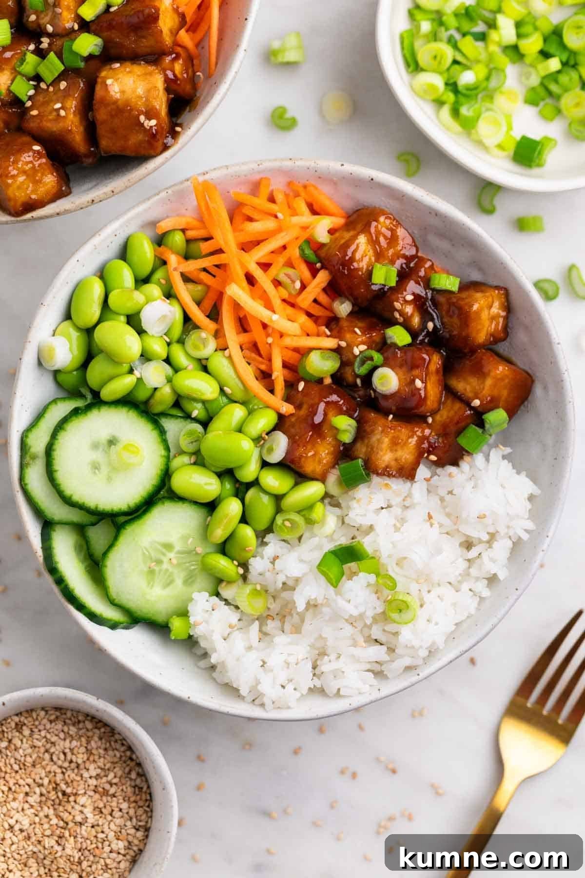 Two tofu rice bowls with sesame seeds, green onions, and a fork