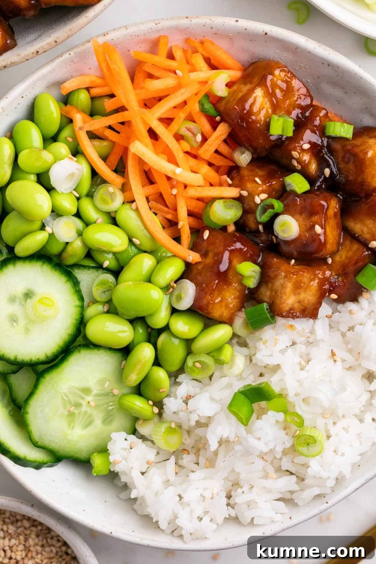 Tofu rice bowls topped with sesame seeds and green onions, served with a fork