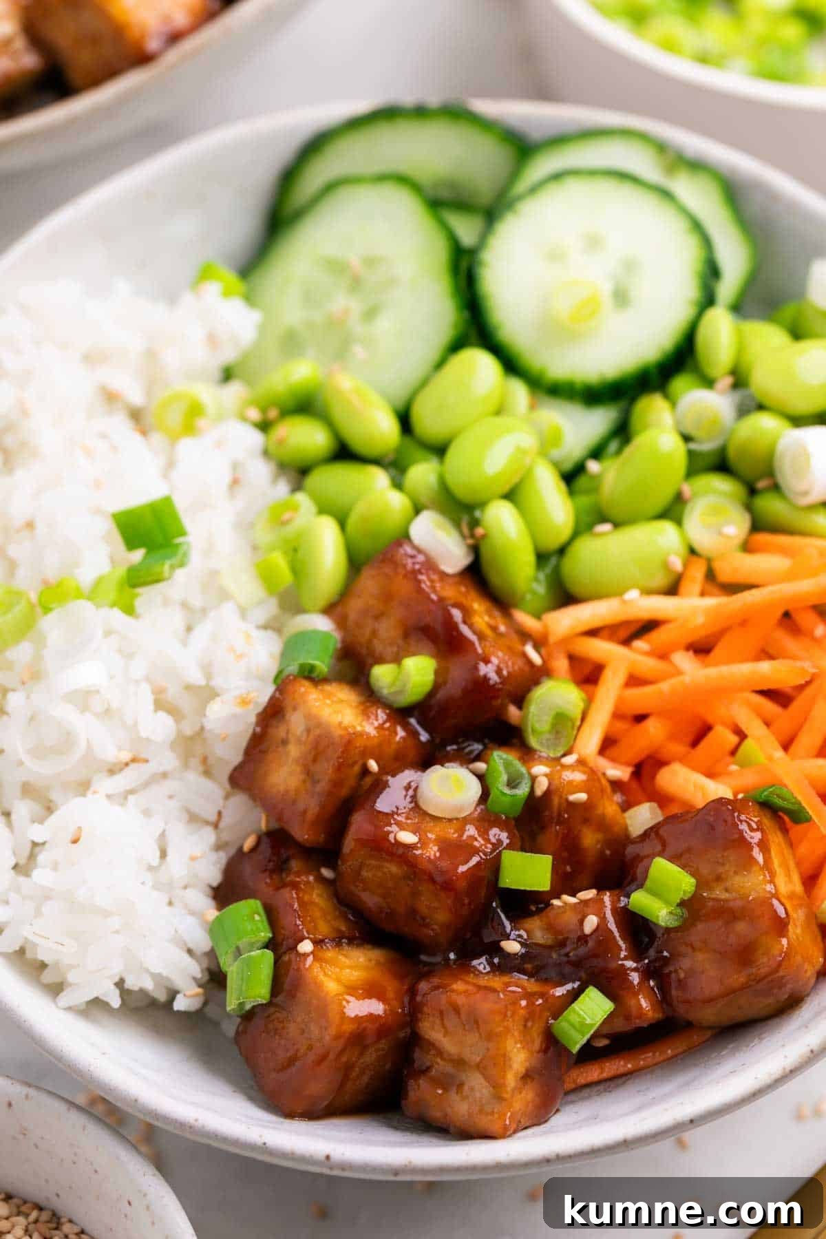 Two bowls of tofu rice with sesame seeds and chopped green onions