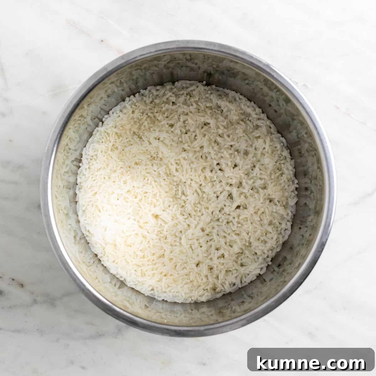 Cooked rice in a pot